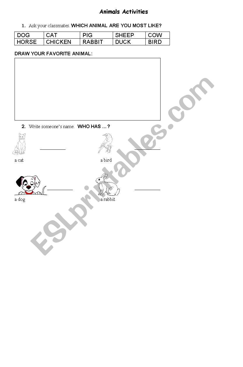 Animals Activities worksheet