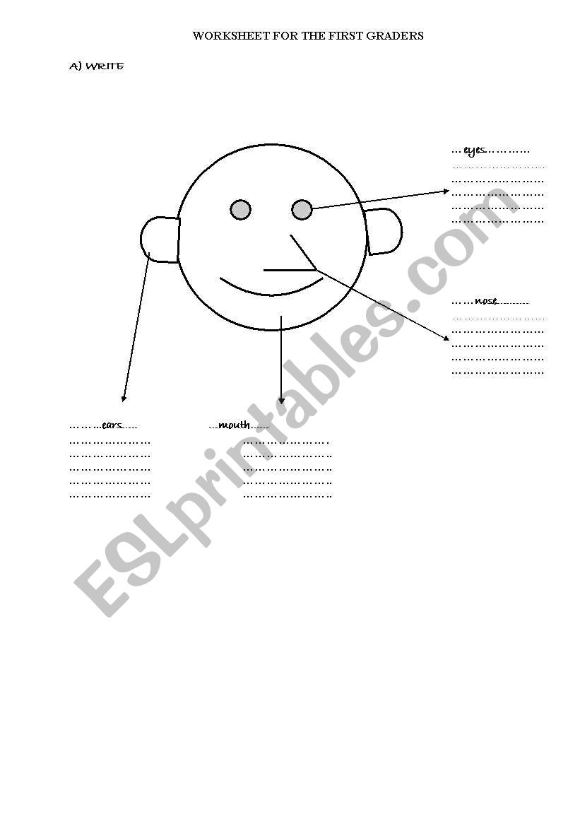 parts of the face worksheet