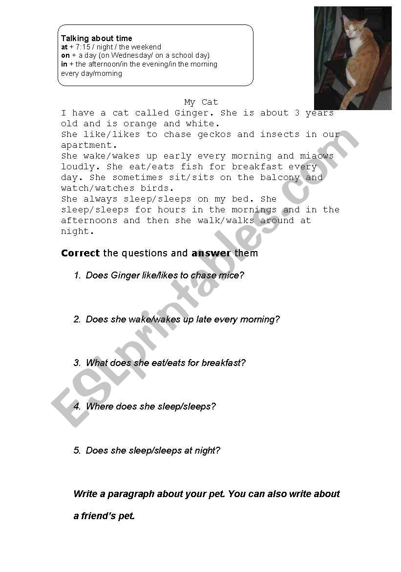 Cats present simple worksheet