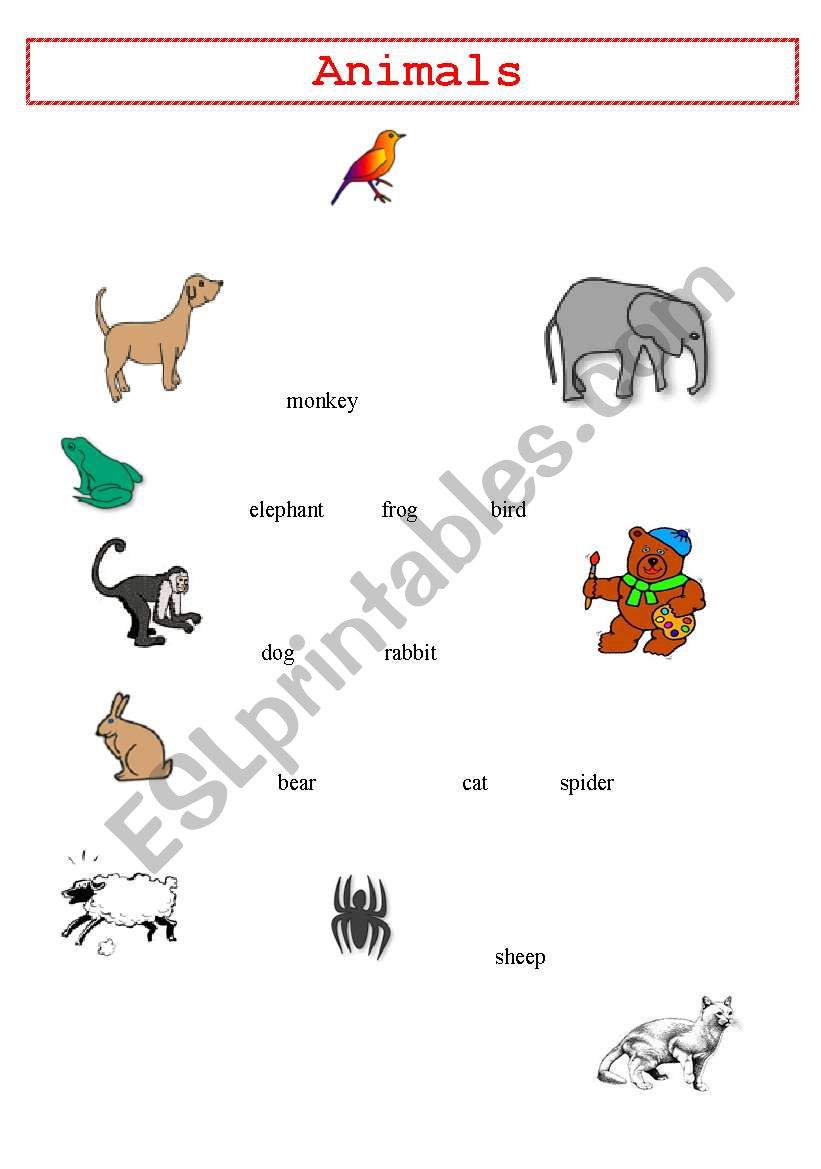 Animals worksheet