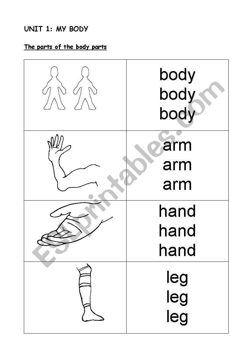 The body worksheet