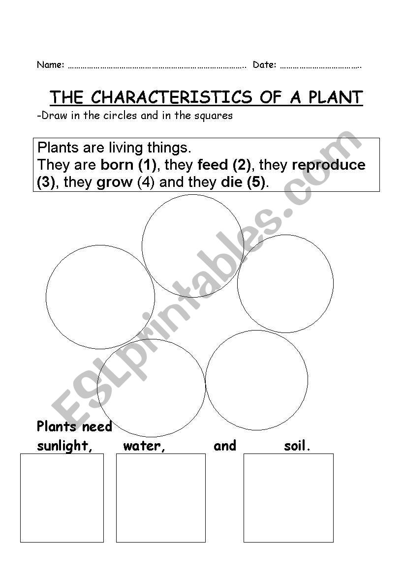 CHARACTERISTICS OF A PLANT worksheet