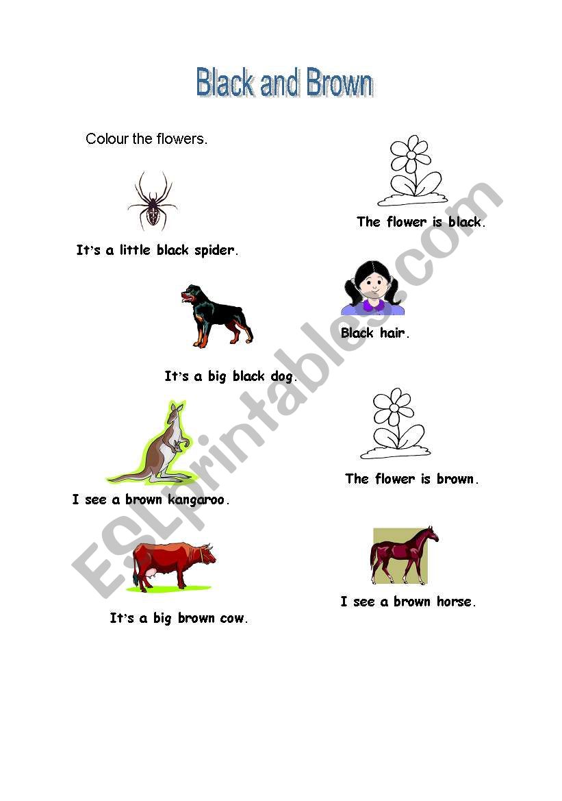 Review of the colours black and brown and simple sentence structure using easy vocabulary.