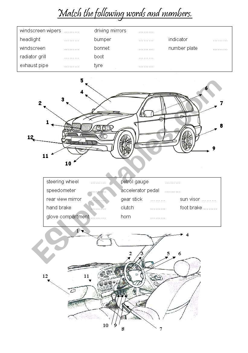 CARS : Vocabulary exercise II worksheet