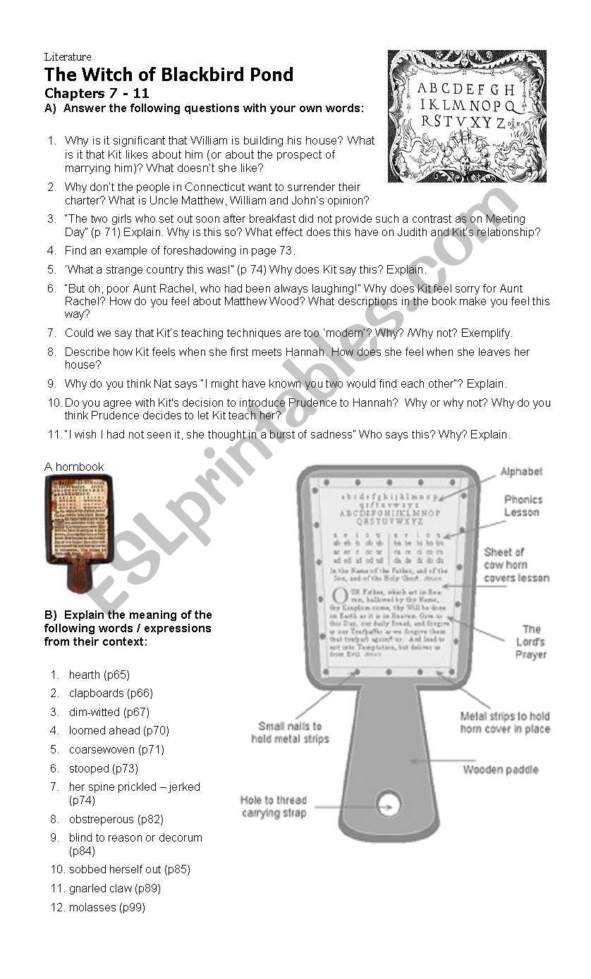 The Witch of Blackbird Pond worksheet