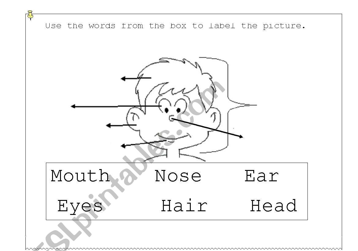 Body parts I worksheet