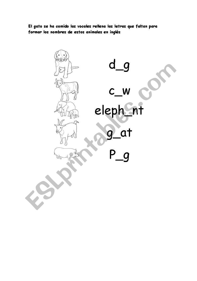 Animals worksheet