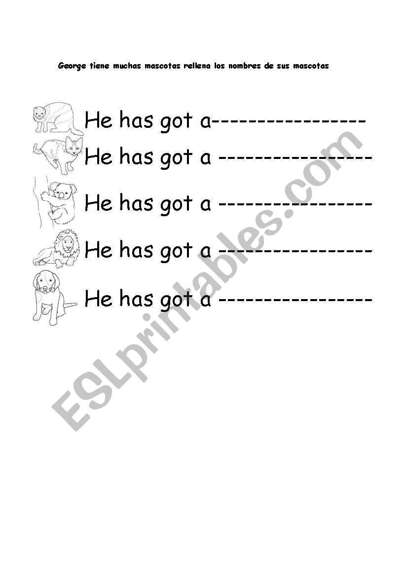 Animals worksheet