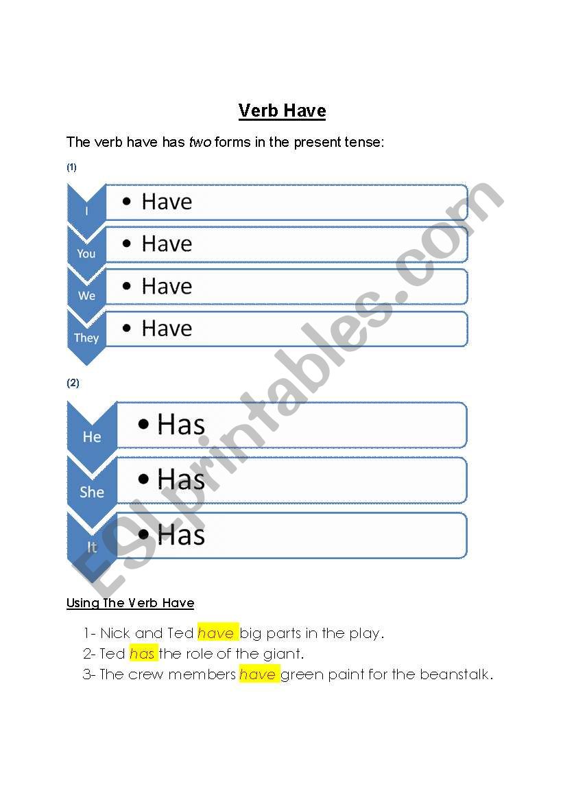 Verb to have worksheet