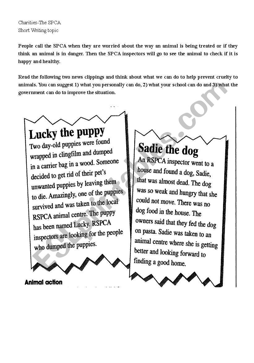 Prevention Cruelty to Animals worksheet