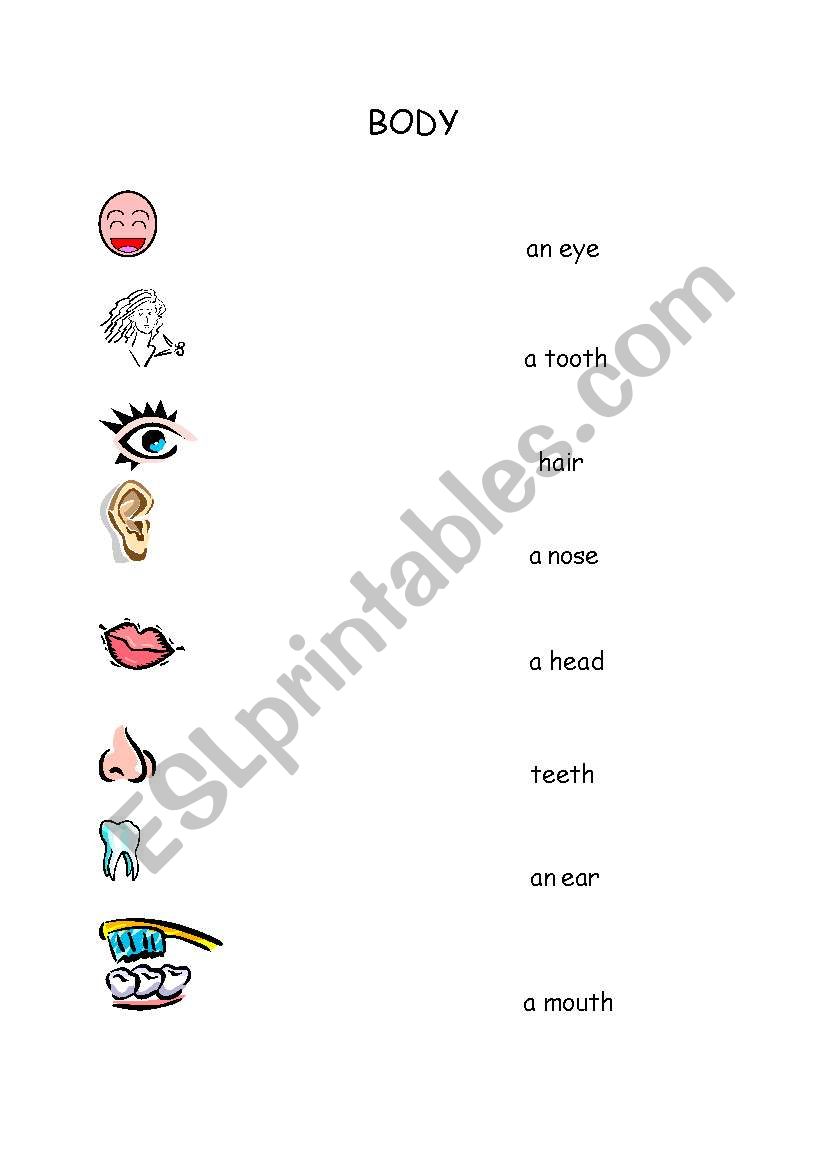 Parts of the body matching worksheet