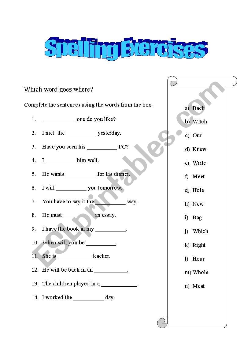 Spelling exercises worksheet