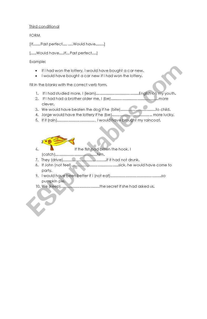 third conditional worksheet