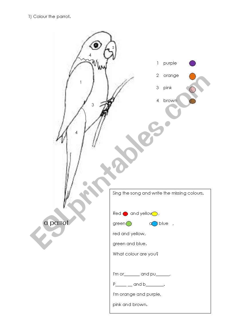a parrot worksheet