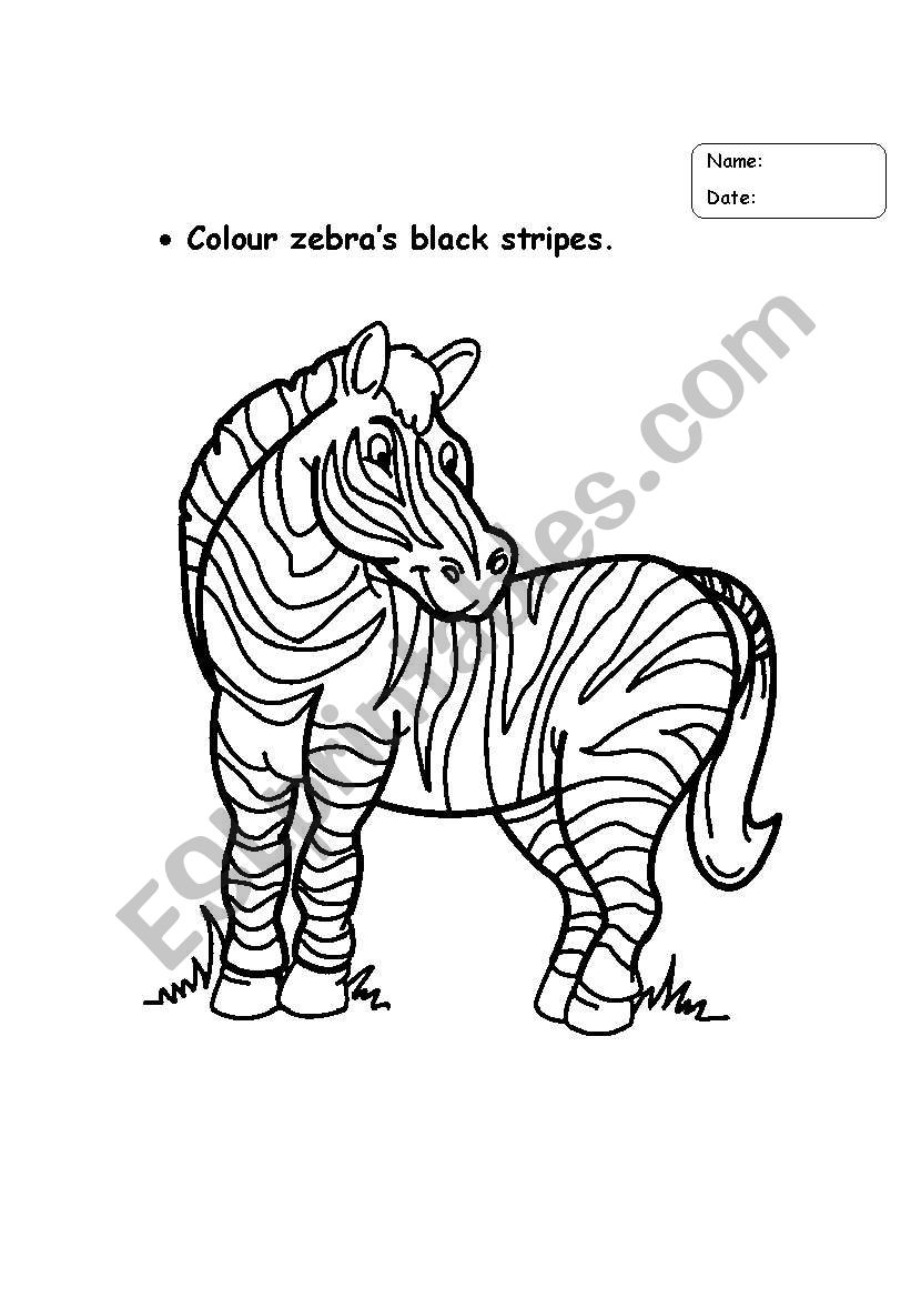 colour zebra black stripes worksheet