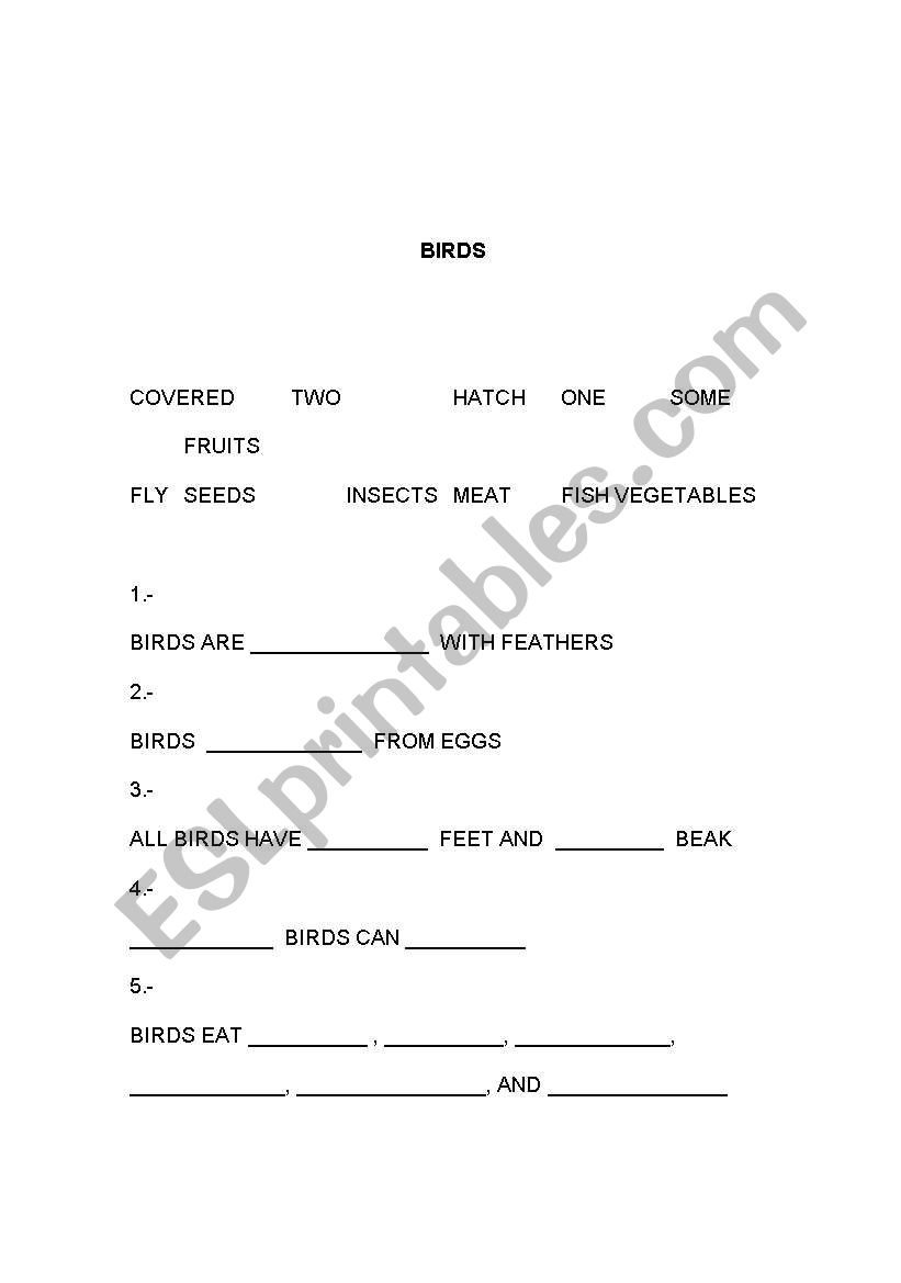 Birds worksheet