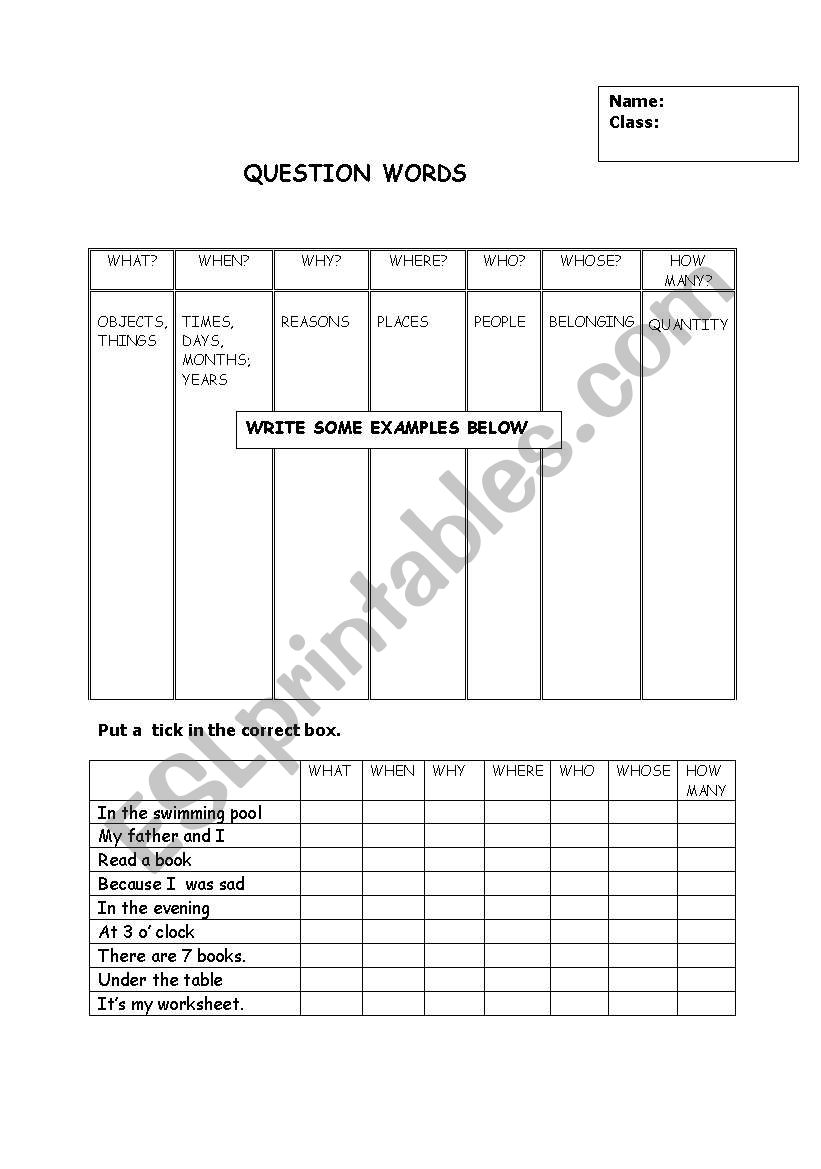 question words worksheet