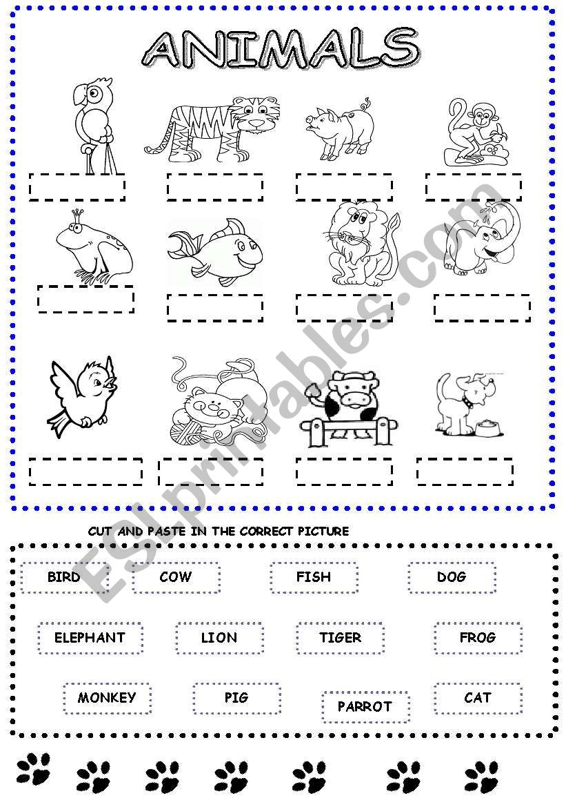 Animals worksheet