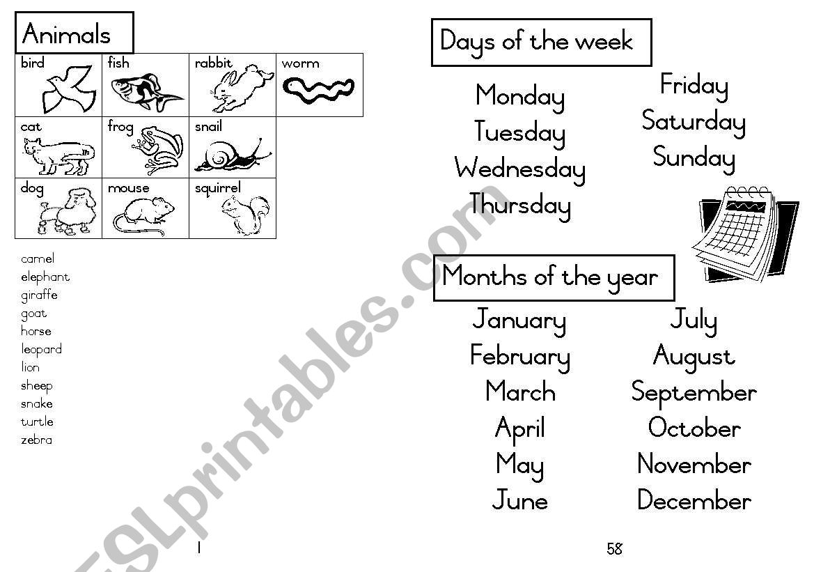 A5 Picture Dictionary 2 worksheet