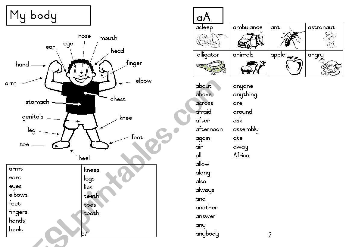 A5 Picture dictionary 3 worksheet