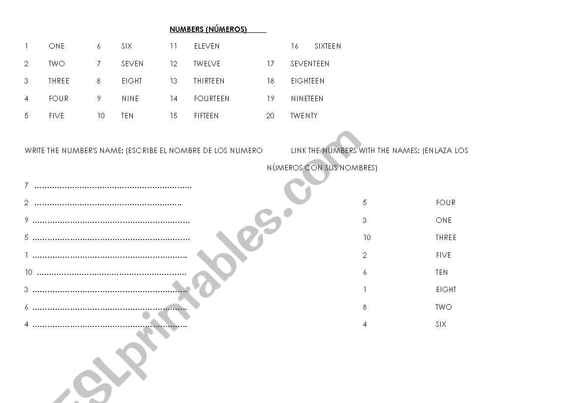 THE NUMBERS worksheet