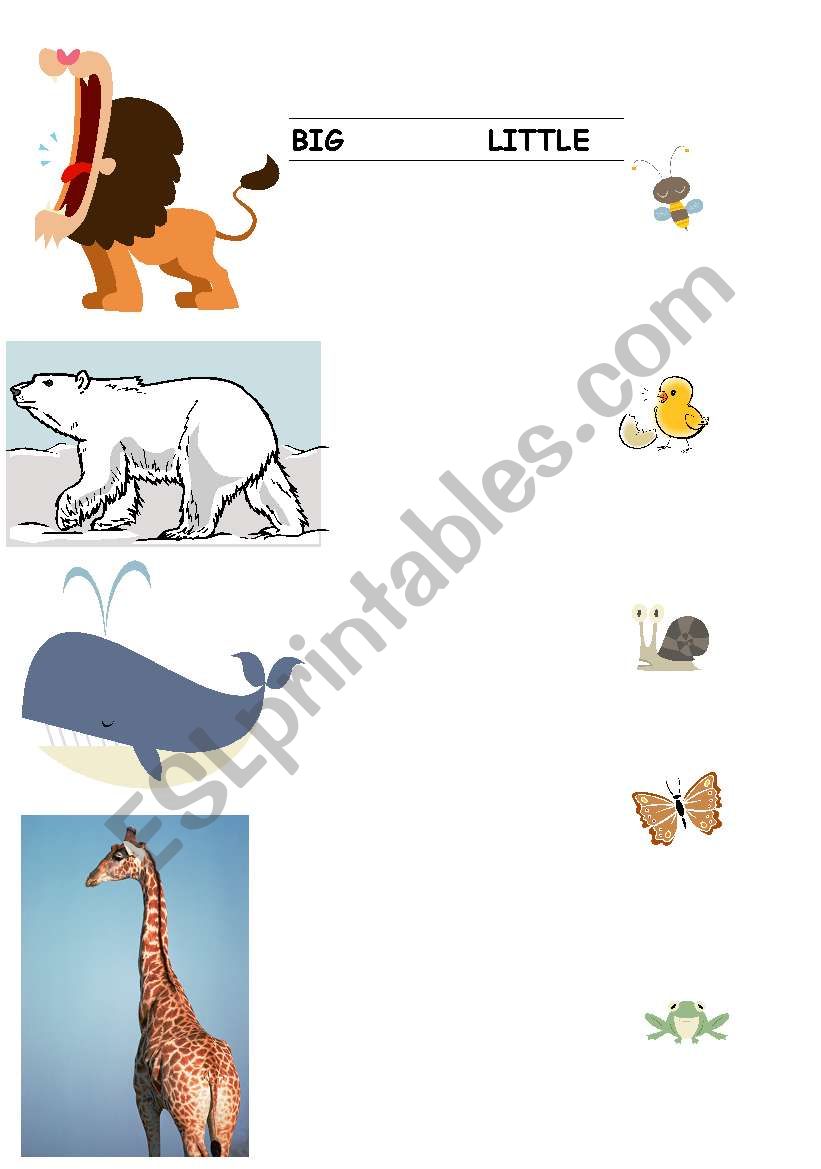 Big and little worksheet
