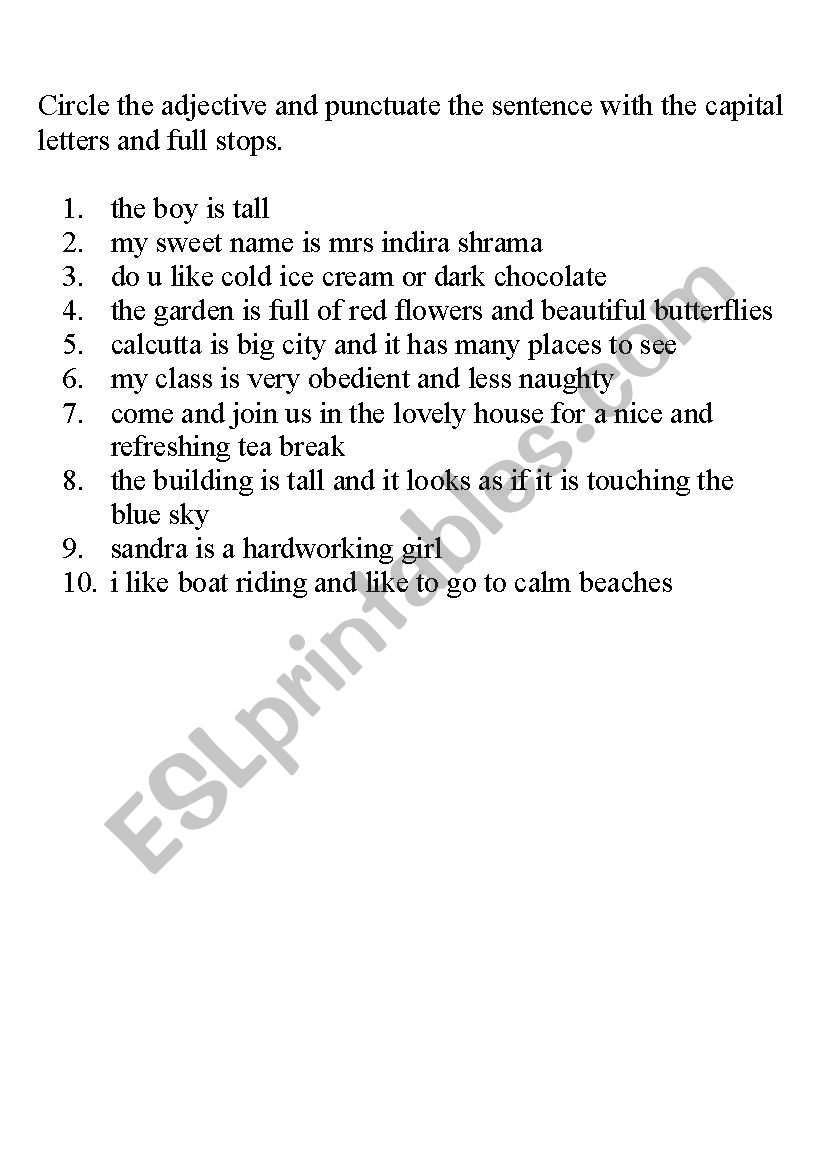 Puntuate and Adjectives worksheet