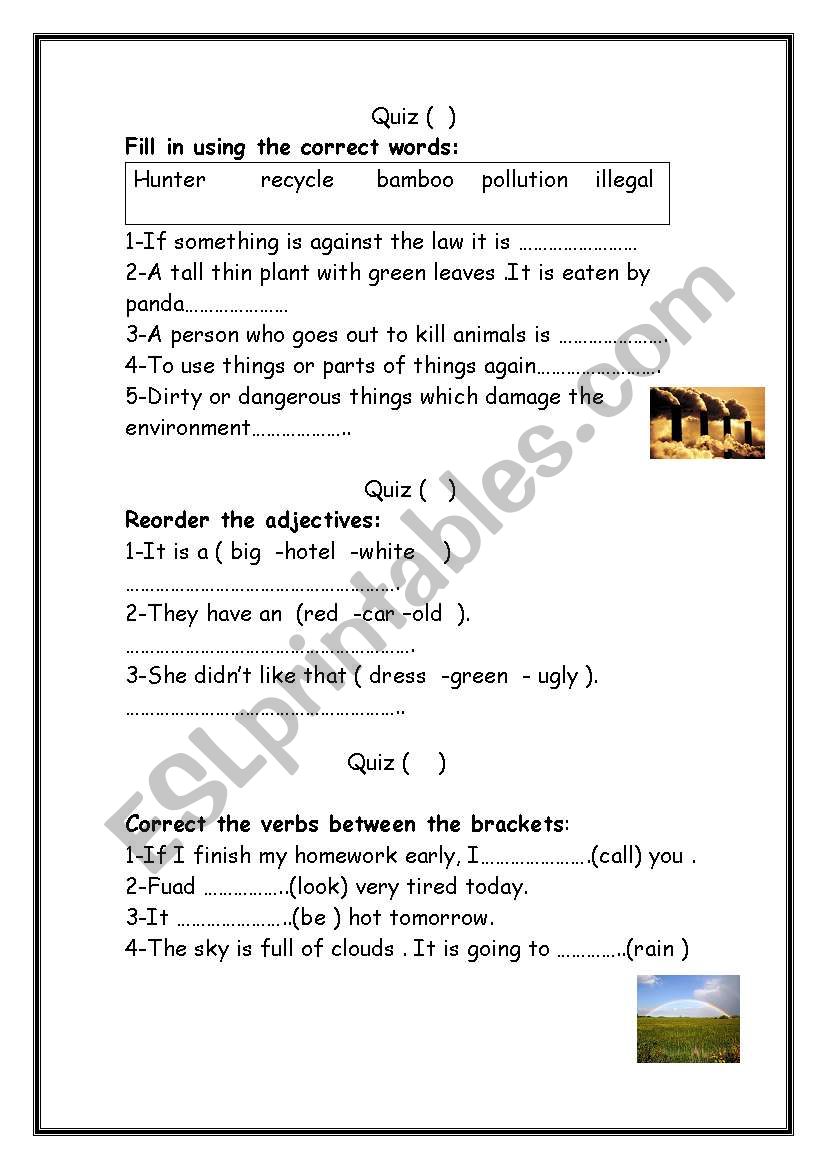 Grammar & vocabulary quiz worksheet