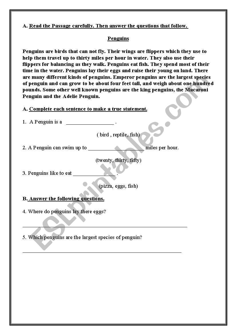 Reading comprehension worksheet