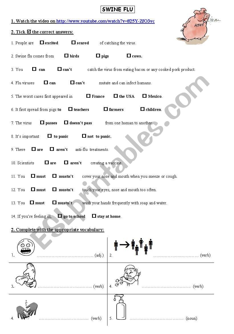 Swine flu worksheet worksheet