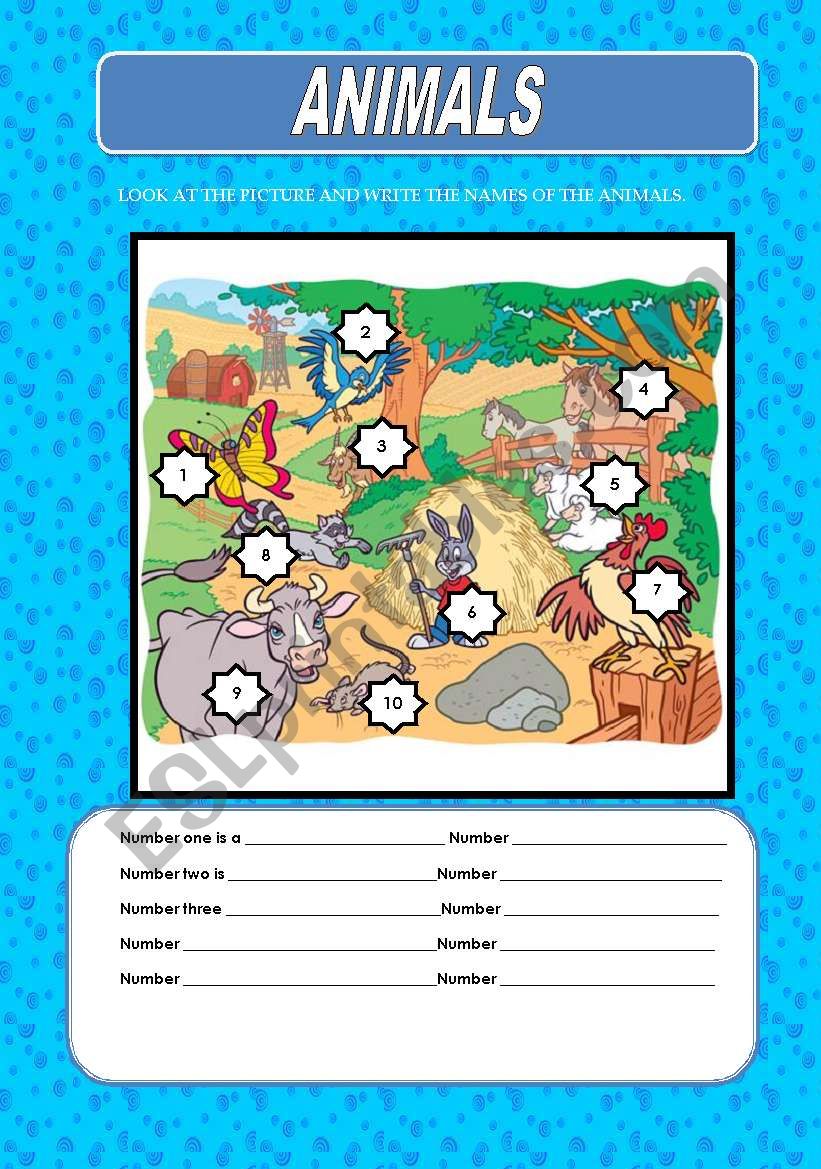 ANIMALS worksheet