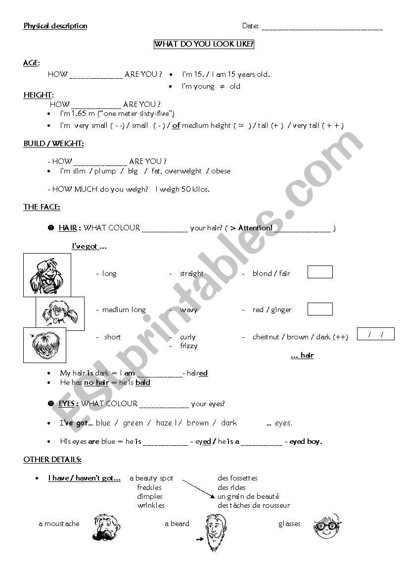 WHAT DO YOU LOOK LIKE?  worksheet