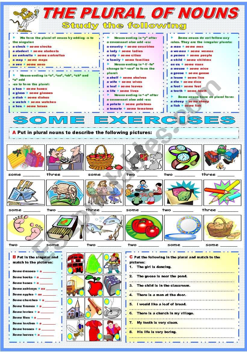 THE PLURAL OF NOUNS - GRAMMAR AND EXERCISES (B&W VERSION INCLUDED)