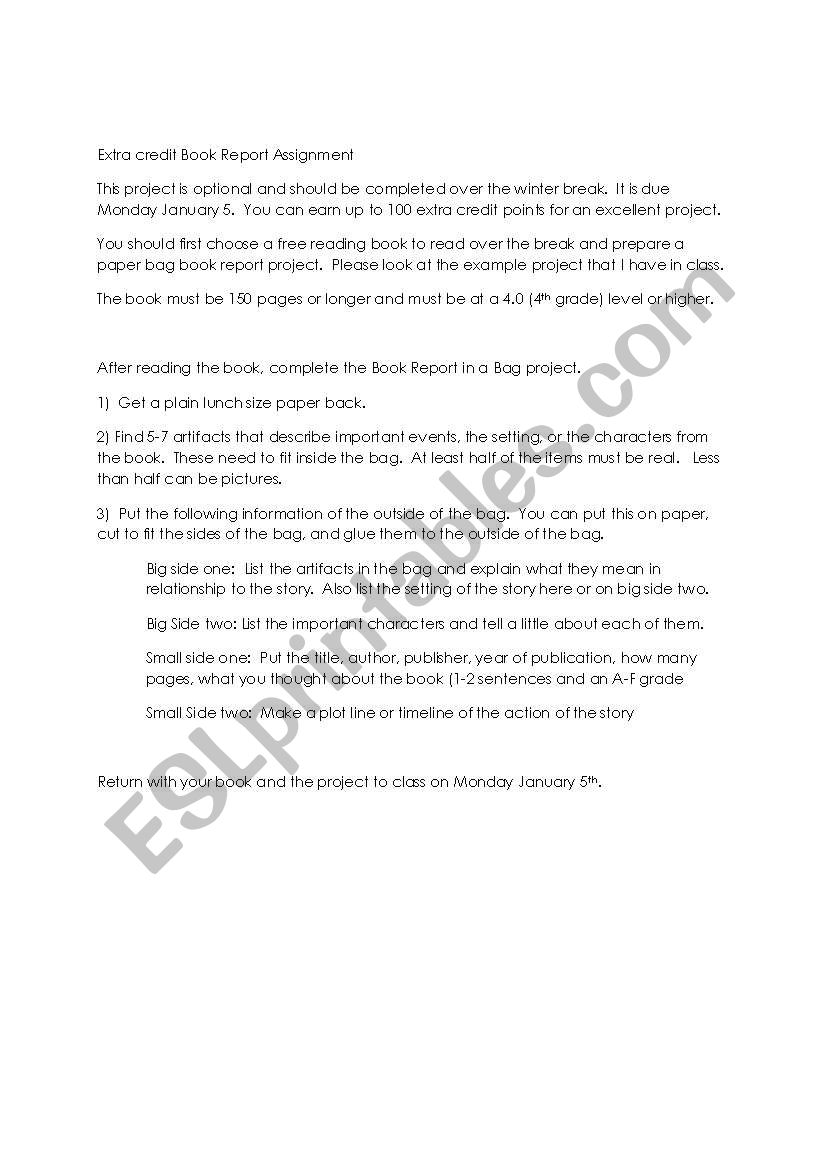 Book report in a bag worksheet