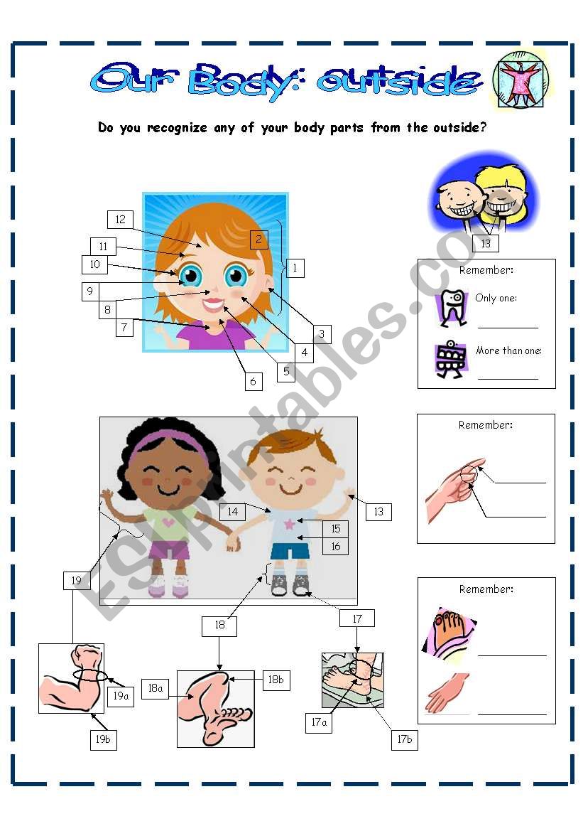 Our body: outside worksheet
