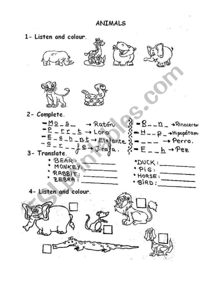 aNIMALS worksheet