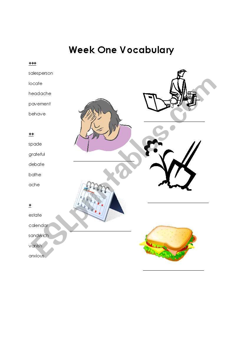 Week One Vocabulary worksheet