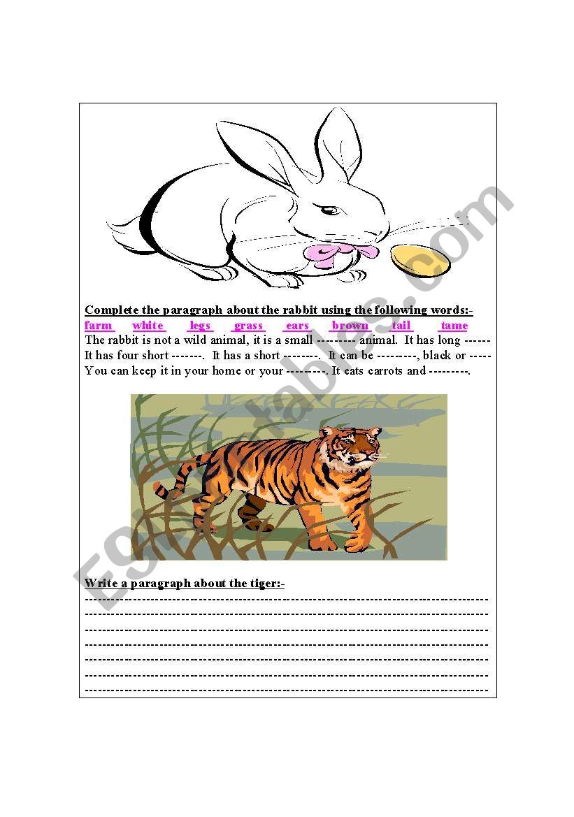 Describing animals worksheet