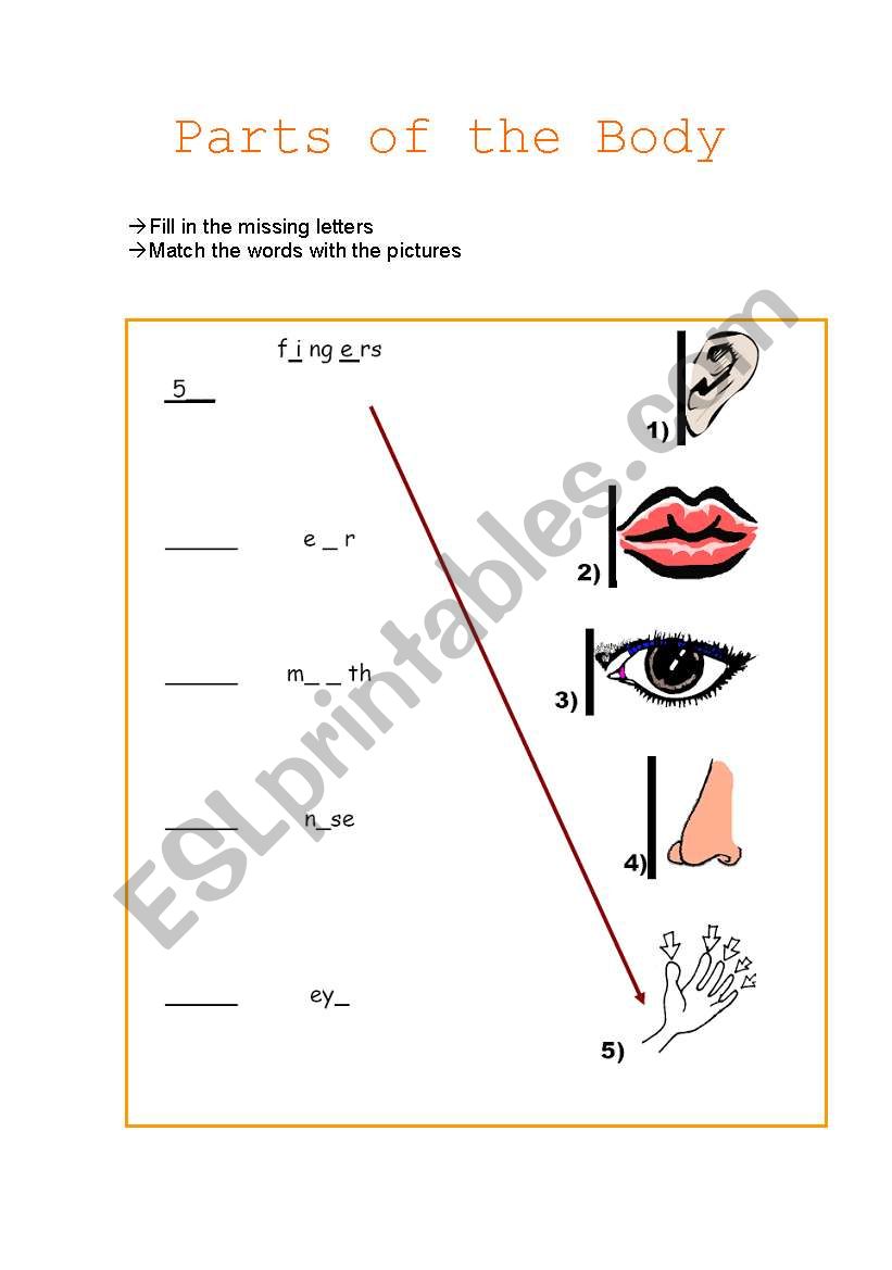 Parts of the body worksheet