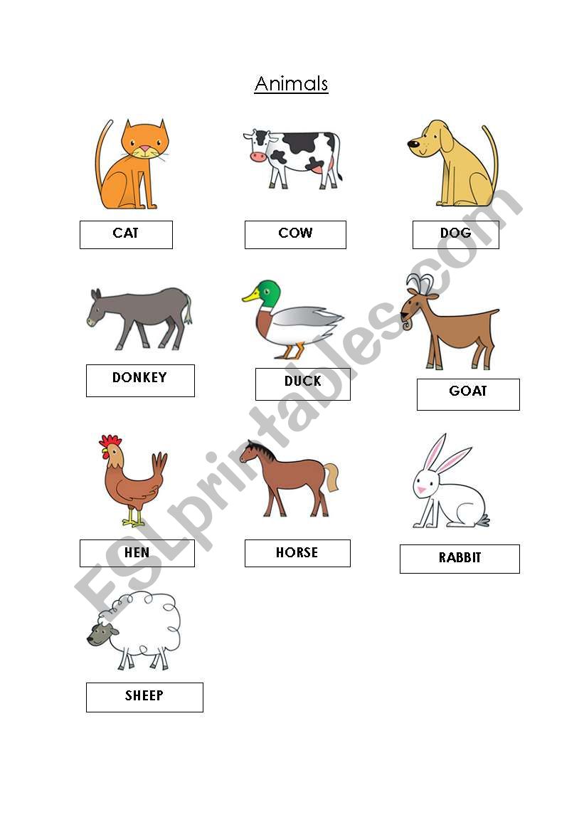 Vocabulary: Animals worksheet