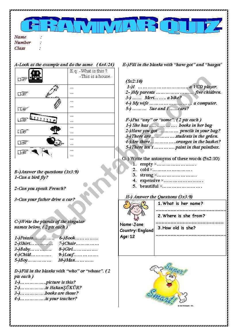 Multiple Grammar Quiz worksheet