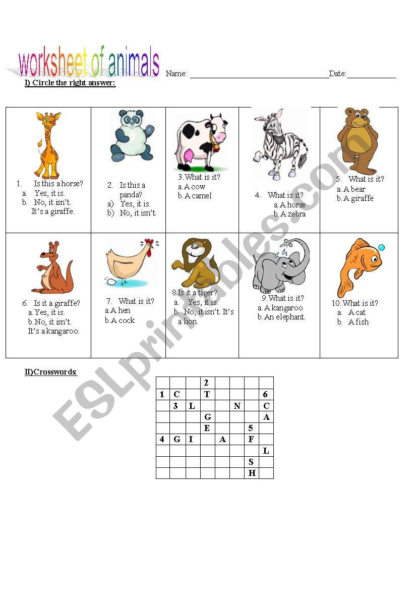 Worksheet of animals worksheet
