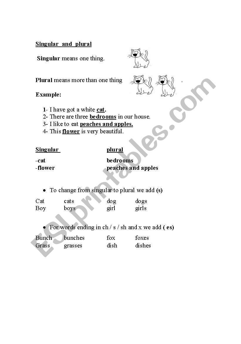 SINGULAR AND PLURAL worksheet