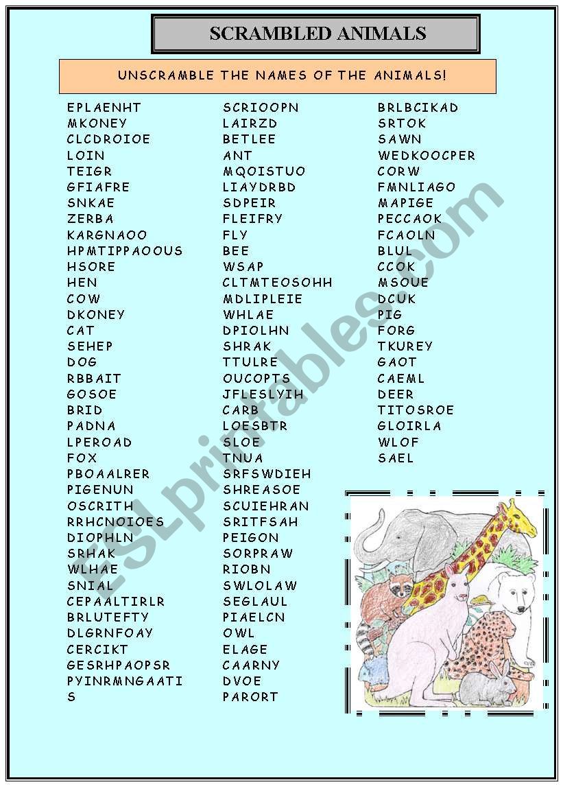 UNSCRAMBLE THE NAME OF THE ANIMALS