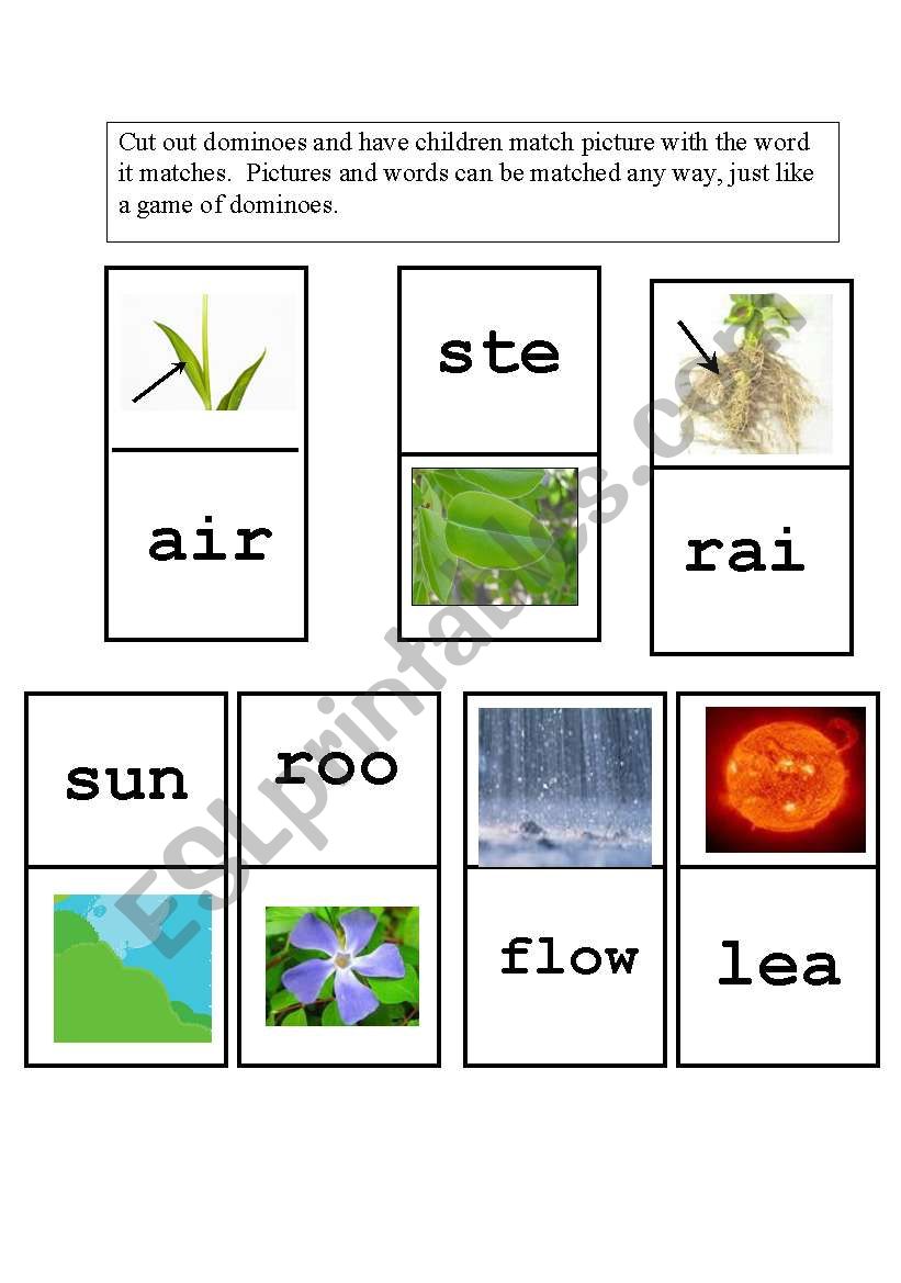 Parts of a Flower Domino Game worksheet