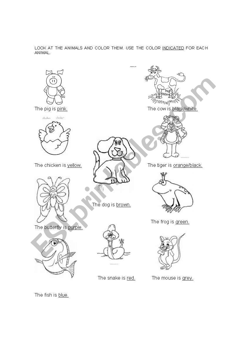 Animals and colors worksheet