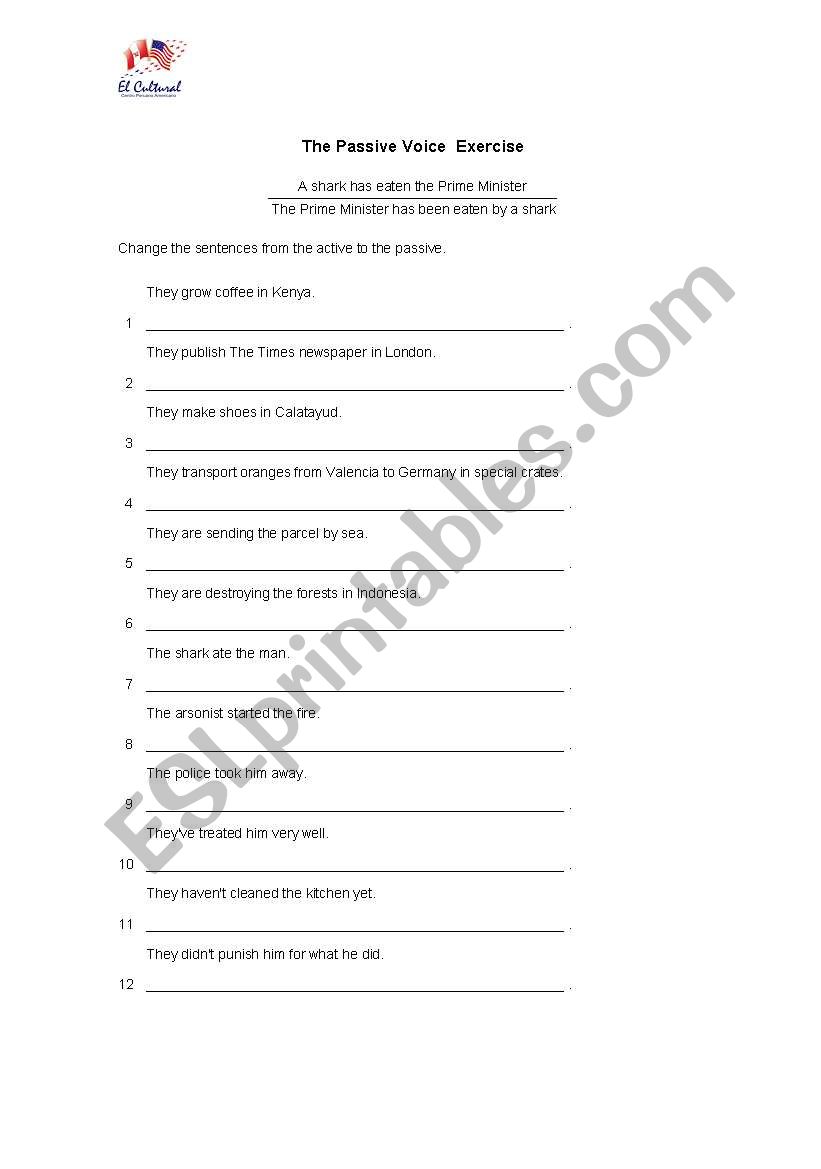 passive worksheet worksheet