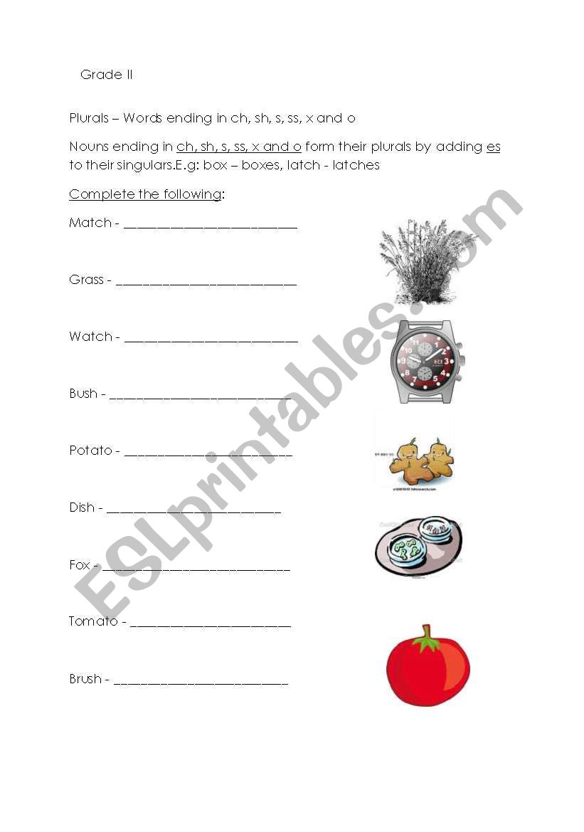 english-worksheets-singular-plural