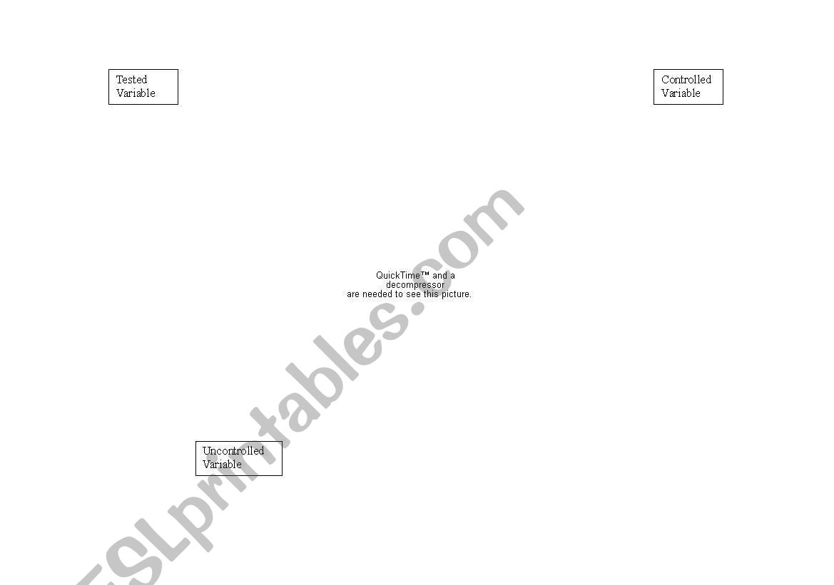 Variables Venn Diagram worksheet