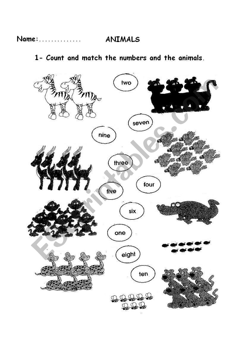 Animals worksheet